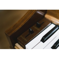 Wurlitzer 270 Butterfly With brand new French Polish finish