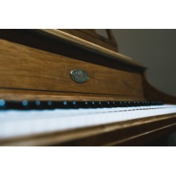 Wurlitzer 270 Butterfly With brand new French Polish finish