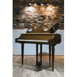 Wurlitzer 270 Butterfly With brand new French Polish finish