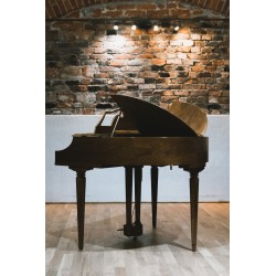 Wurlitzer 270 Butterfly With brand new French Polish finish