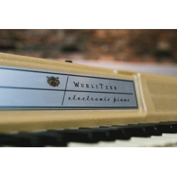 Wurlitzer 200 Stage with Bottom Speaker Combo