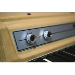 Wurlitzer 200 Stage with Bottom Speaker Combo