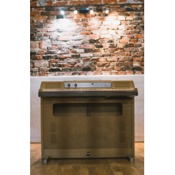 Wurlitzer 200 Stage with Bottom Speaker Combo