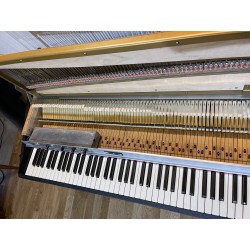 1979 Rhodes mk1 Suitcase - new look