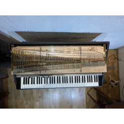 1979 Rhodes mk1 Suitcase - new look