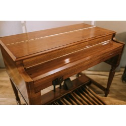 Hammond B2 / B3 - fully reconditioned _ Leslie Speaker