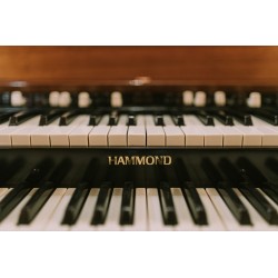 Hammond B2 / B3 - fully reconditioned _ Leslie Speaker