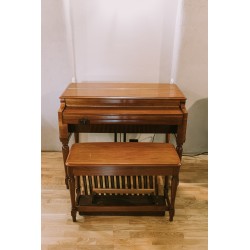 Hammond B2 / B3 - fully reconditioned _ Leslie Speaker
