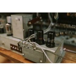 Hammond B2 / B3 - fully reconditioned _ Leslie Speaker
